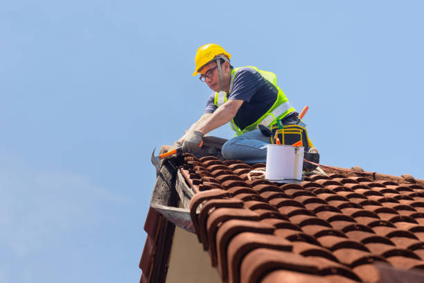 Best Roofing for New Construction  in Torrance, CA